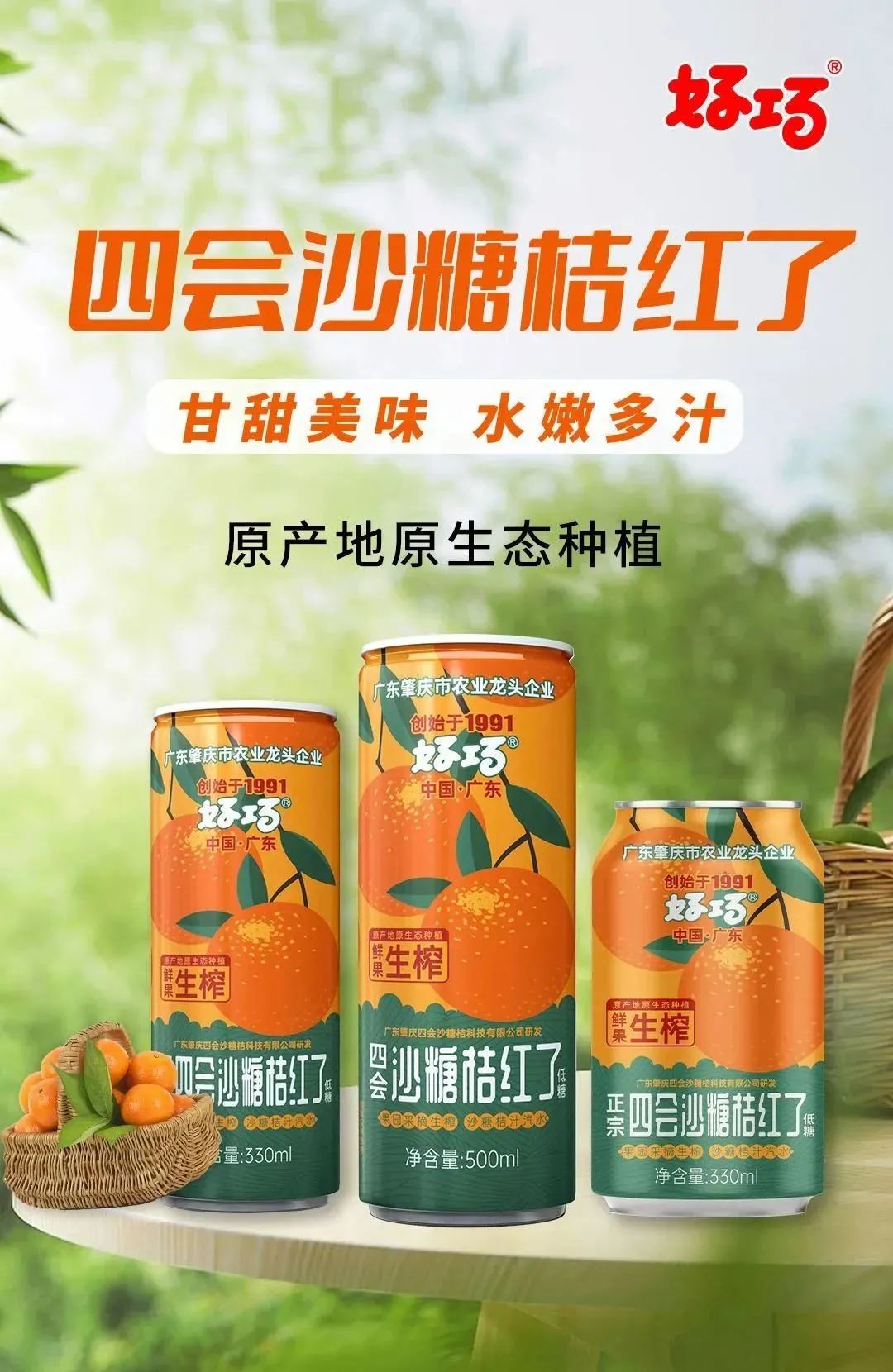 品牌大旺 | 做强做大沙糖桔产业，好巧奏响品牌更强音！